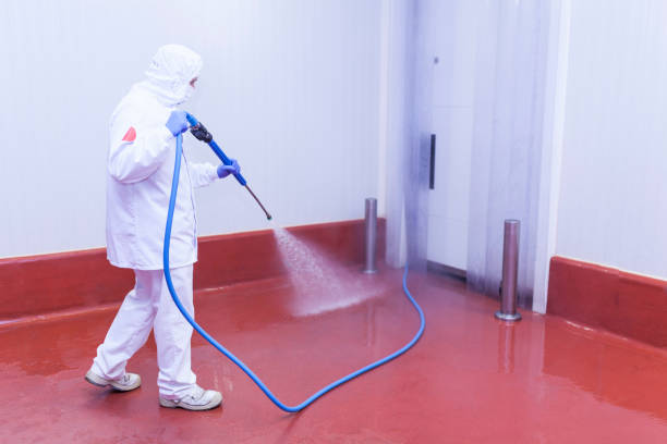 Best Rust Removal  in Liberty Corner, NJ